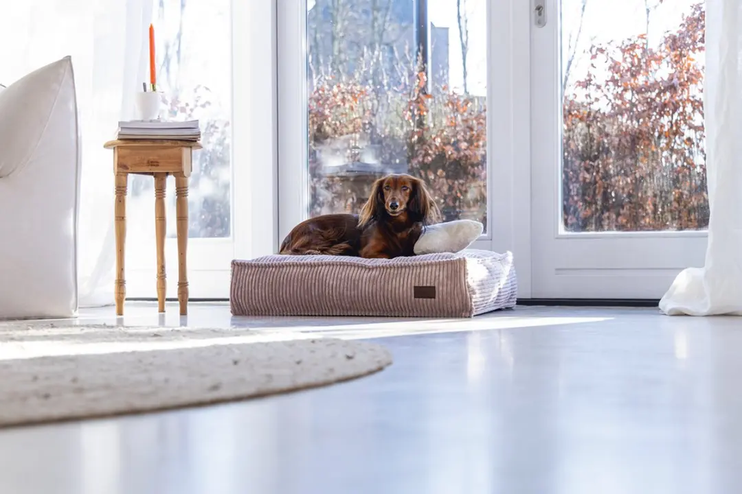 Designed by Lotte Ribbed Hondenkussen - Roze 70x55cm