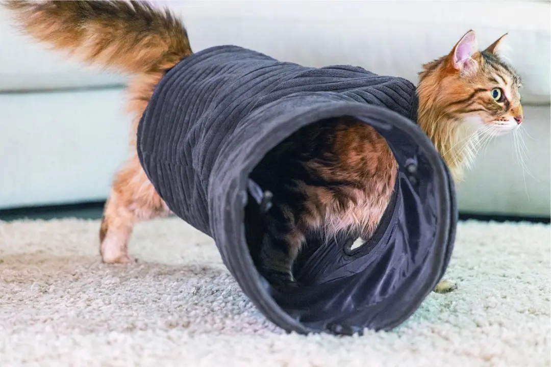 Designed by Lotte Kattentunnel Ribbed - Antraciet