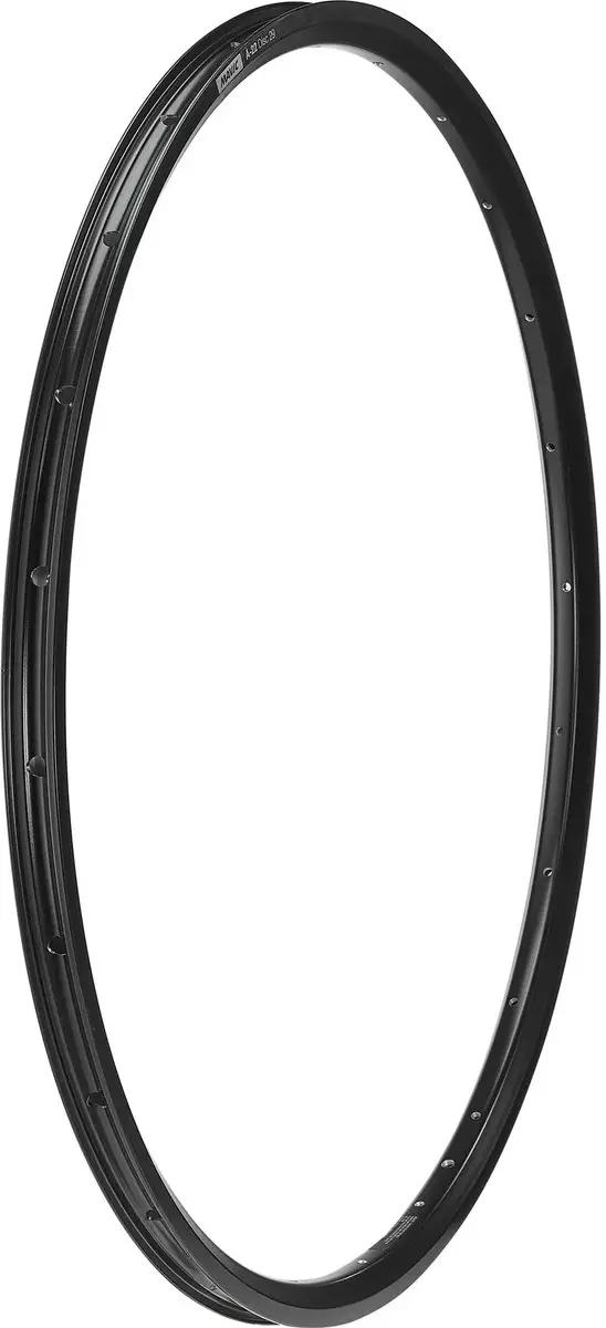 Mavic Rand A-22 Disc 29