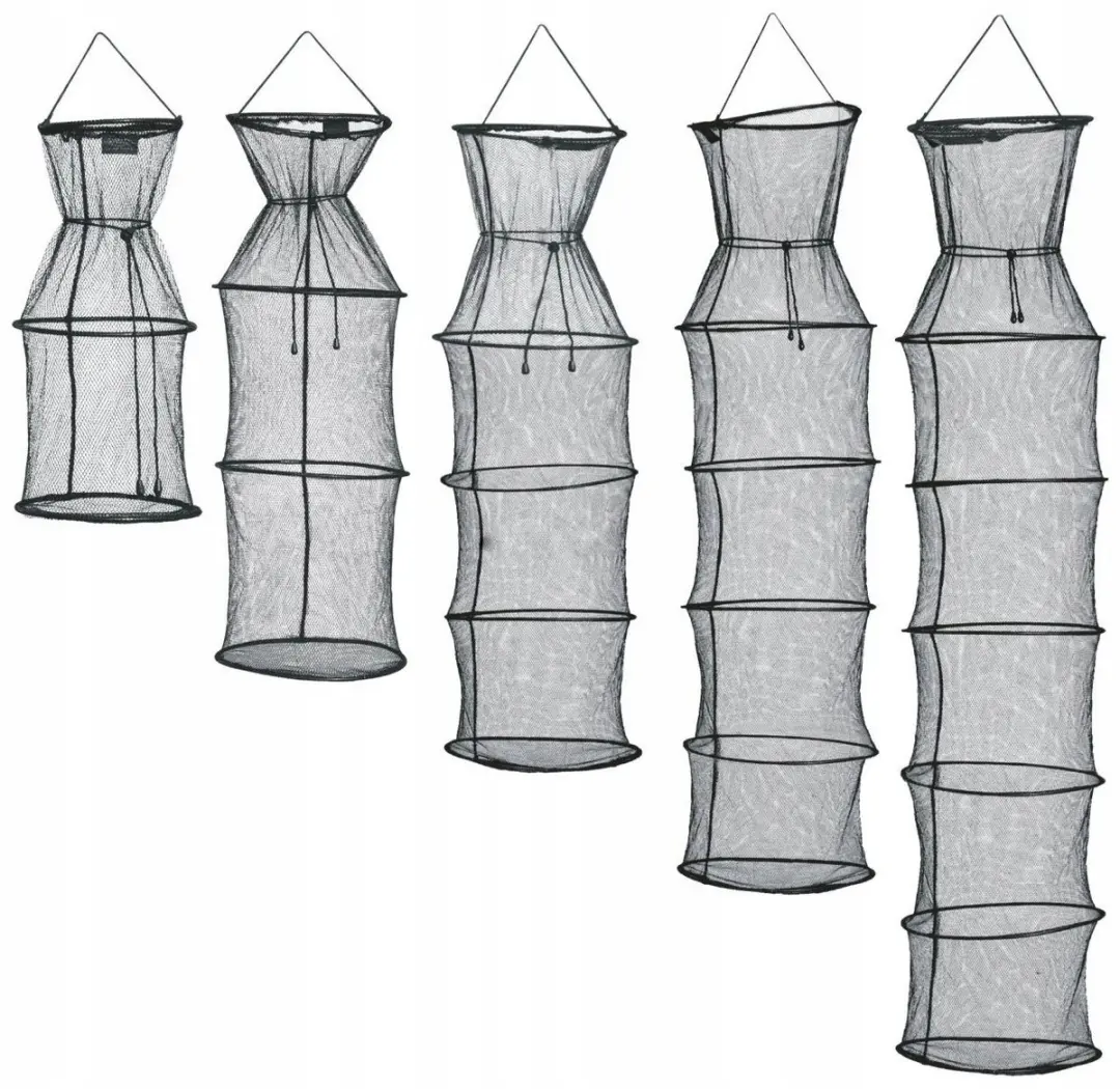 Kings Withered met de ring 35/150cm