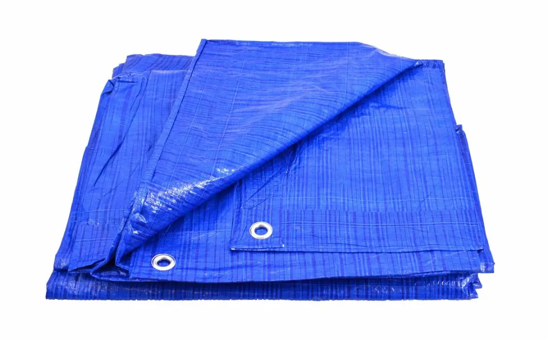 AWTOOLS Afdekzeil 3x3m Blauw