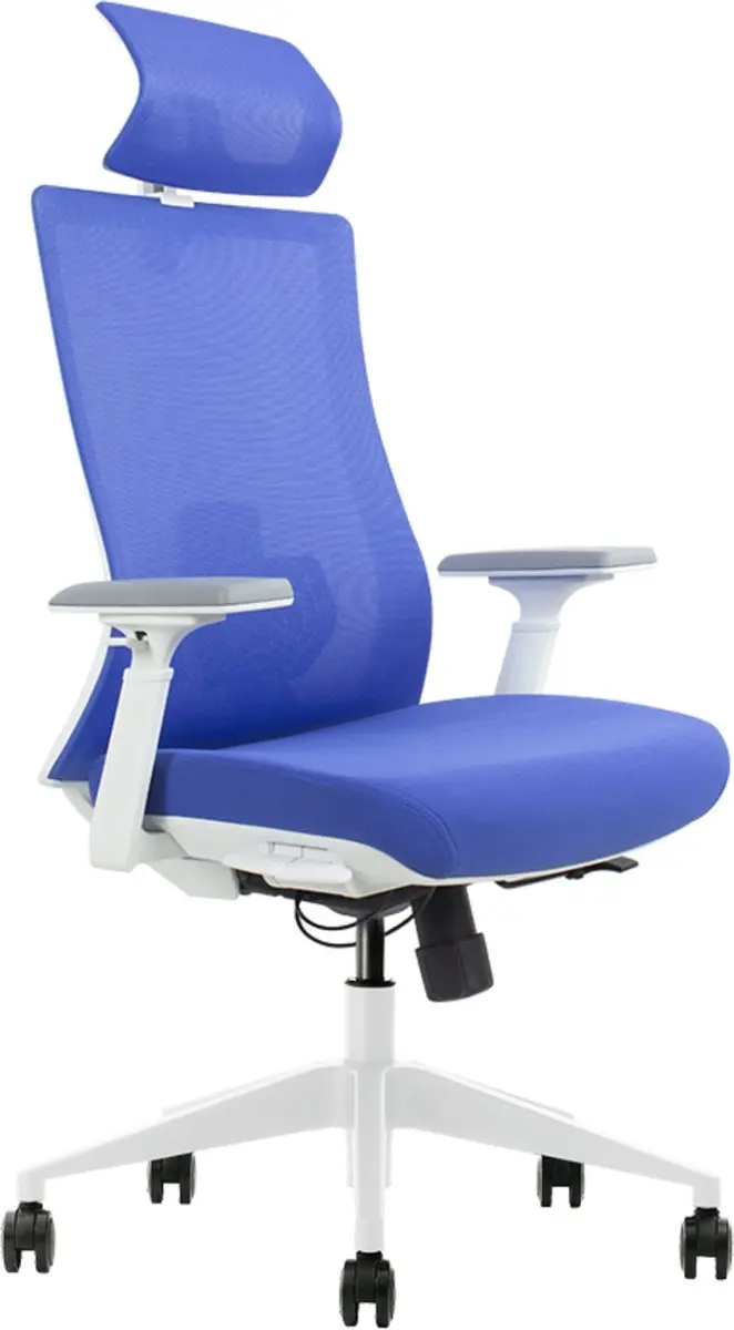 Euroseats ergonomische bureaustoel met hoofdsteun Verona. Uitvoering rug & zitti