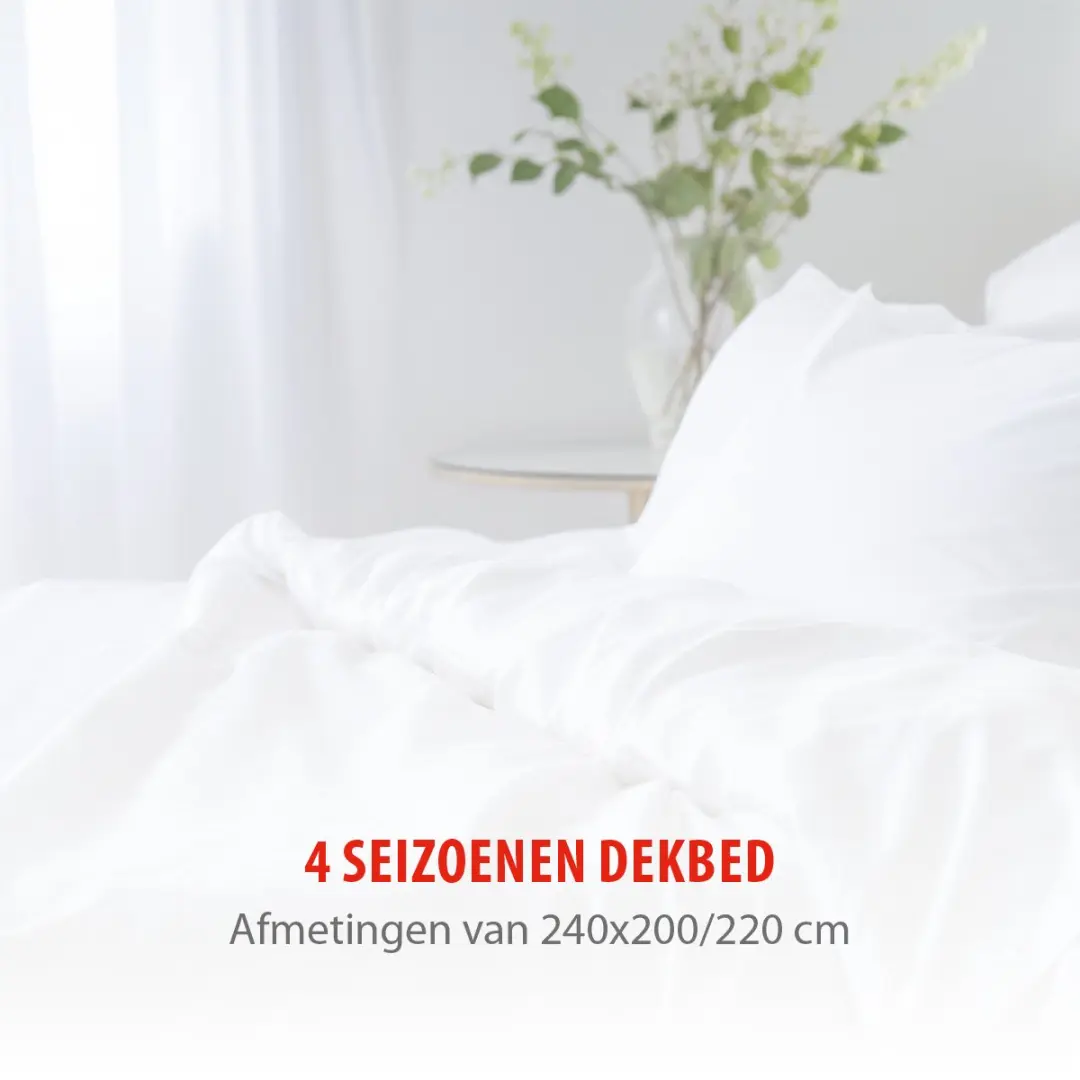 Alpina 4-Seizoenen Dekbed 240x200/220cm - Wit - afbeelding 5 van 6