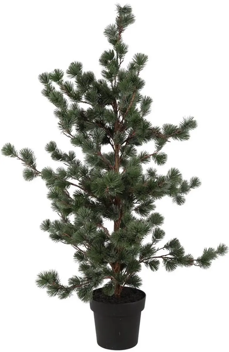 Kerstboom Abies M groen 86xH119cm