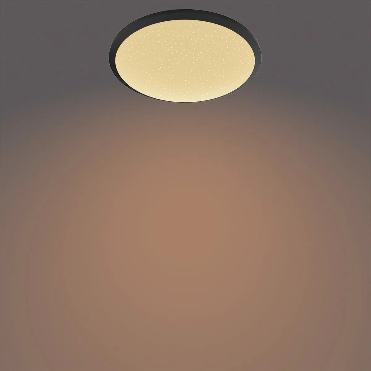 Philips LED Plafondlamp CL255 12W