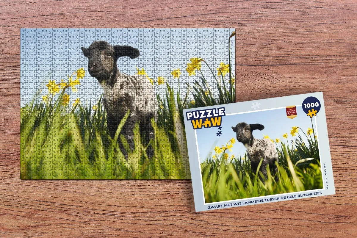 PuzzleWow Legpuzzel 1000 Stuks - Multicolor