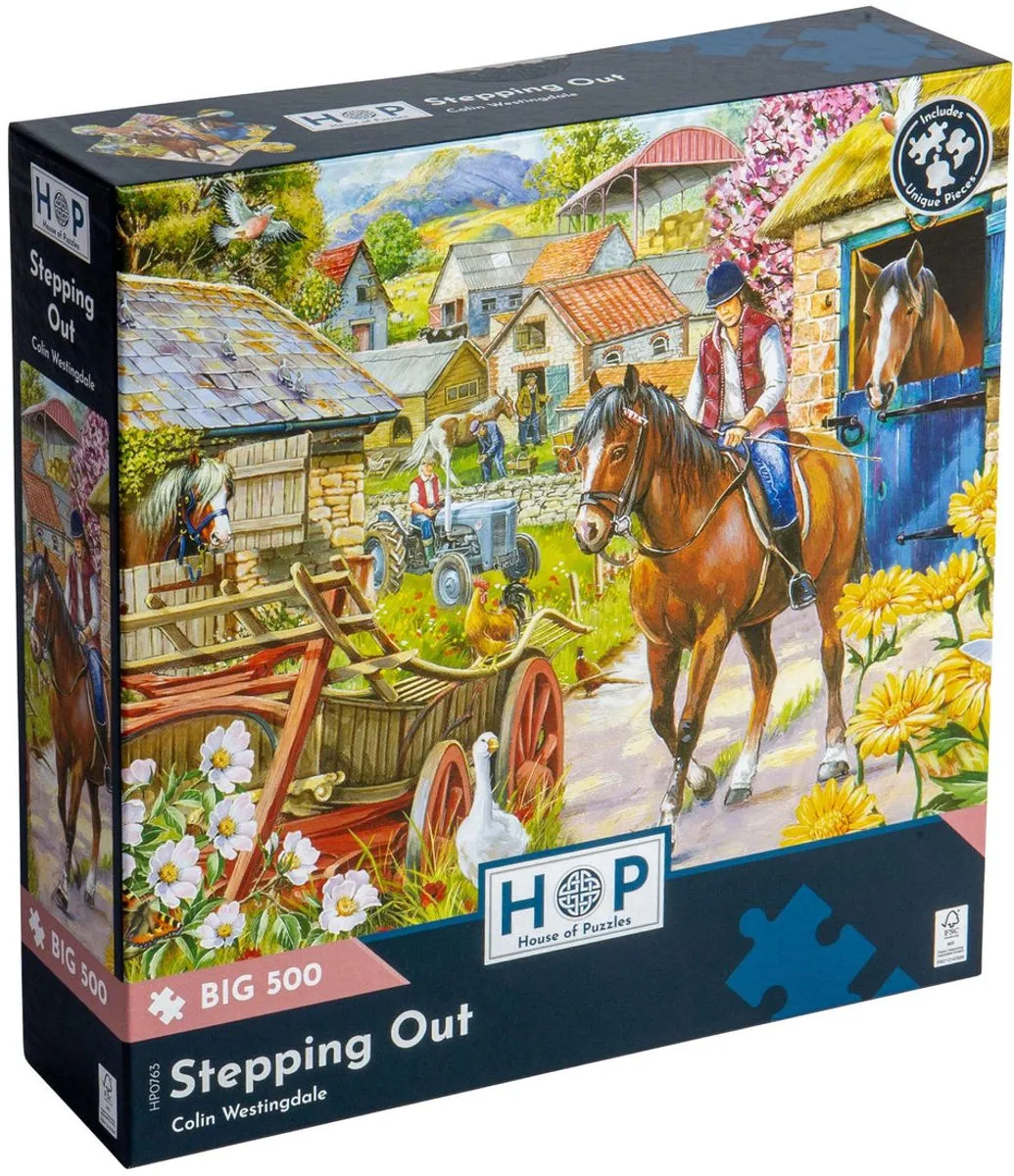 House Of Puzzles Stepping Out XXL Legpuzzel 500 Stuks - Multicolor