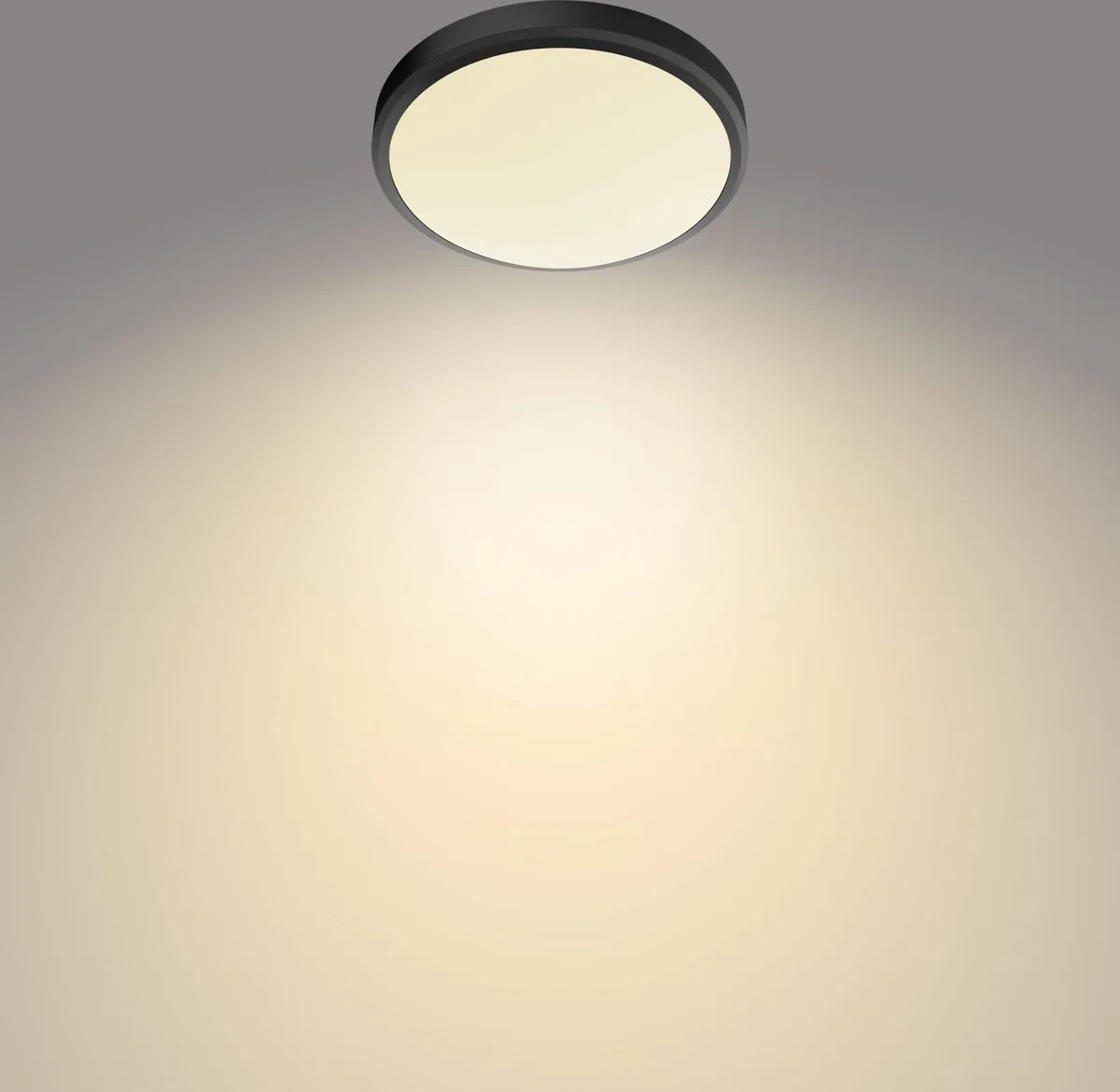 Philips Doris Plafondlamp 17W - Zwart