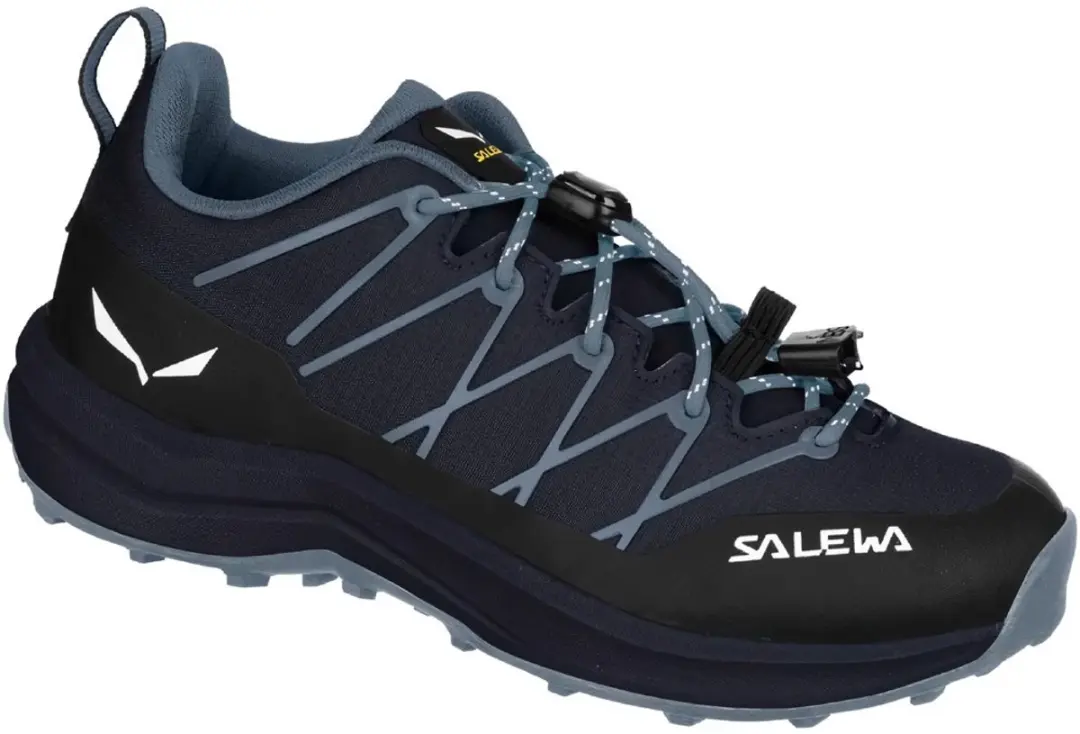 Salewa Wildfire 2 K Wandelschoenen