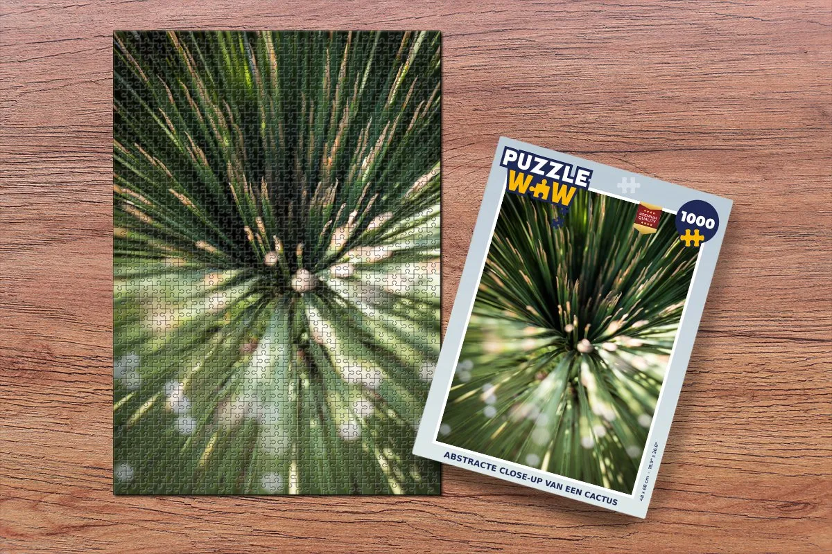 PuzzleWow Cactus Abstract Legpuzzel 1000 Stuks - Multicolor