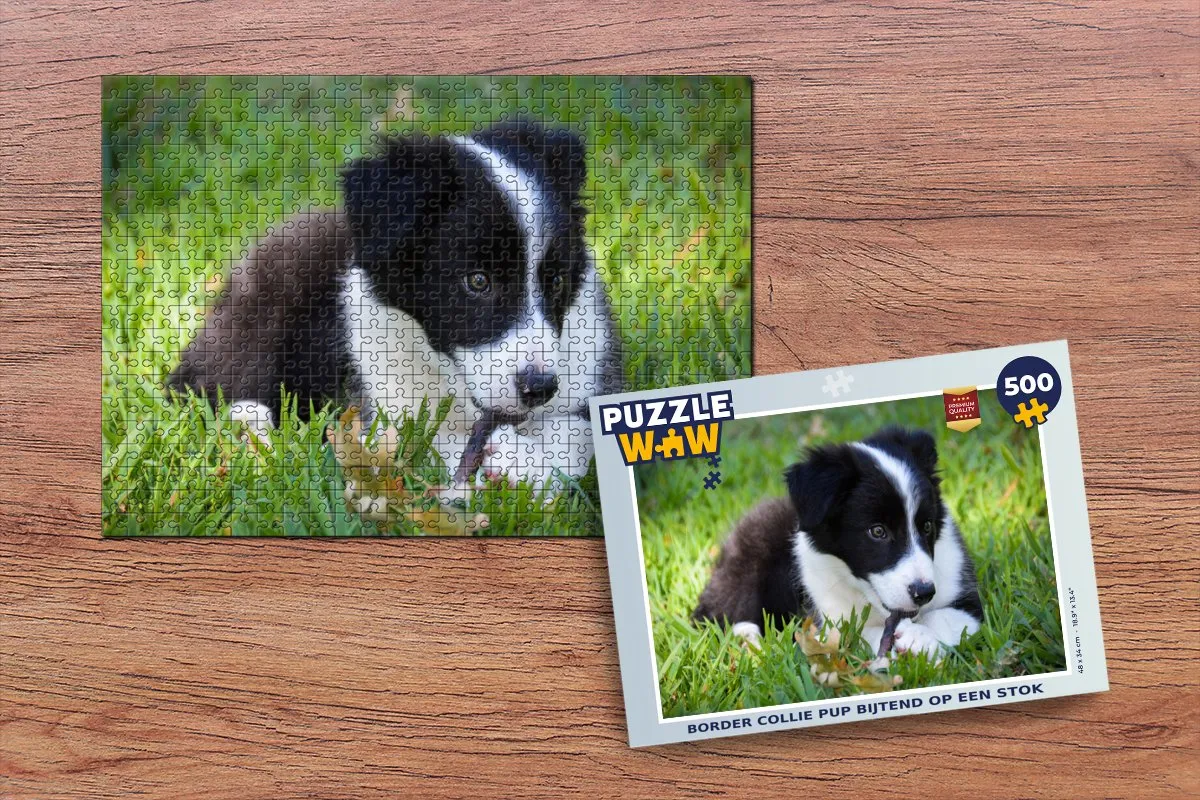PuzzleWow Border Collie Pup Legpuzzel 500 Stuks - Multicolor
