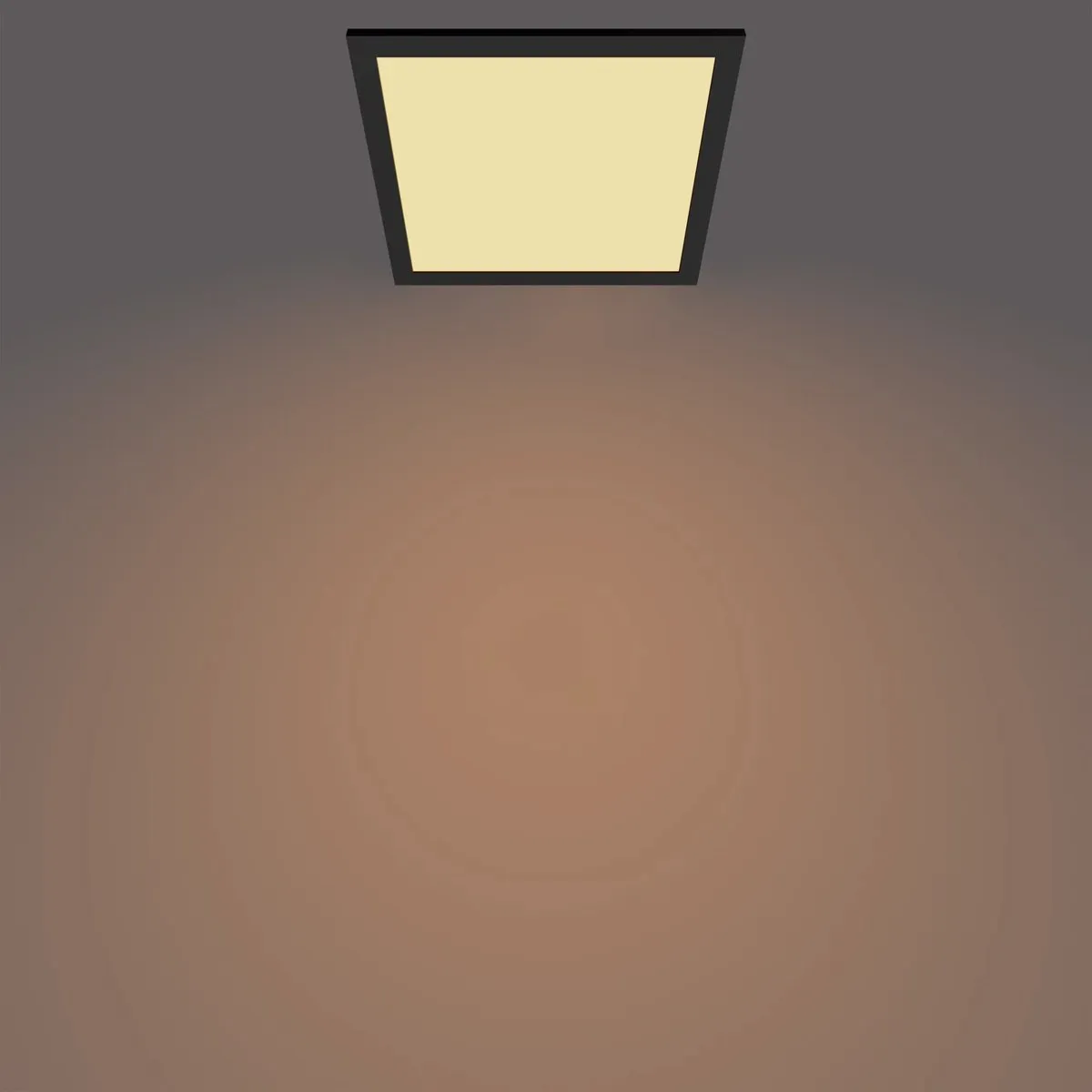 Philips Touch Plafondlamp 12W - Zwart