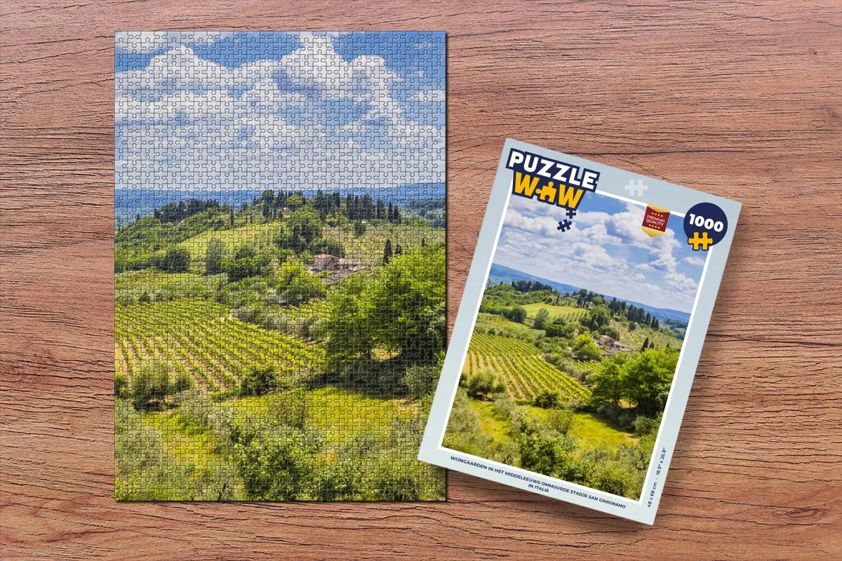 PuzzleWow Legpuzzel San Gimignano 1000 Stuks - Multicolor