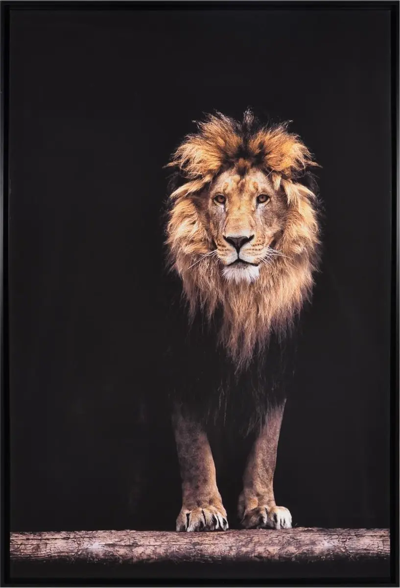 Noach Outdoor Canvas Schilderij Leeuw