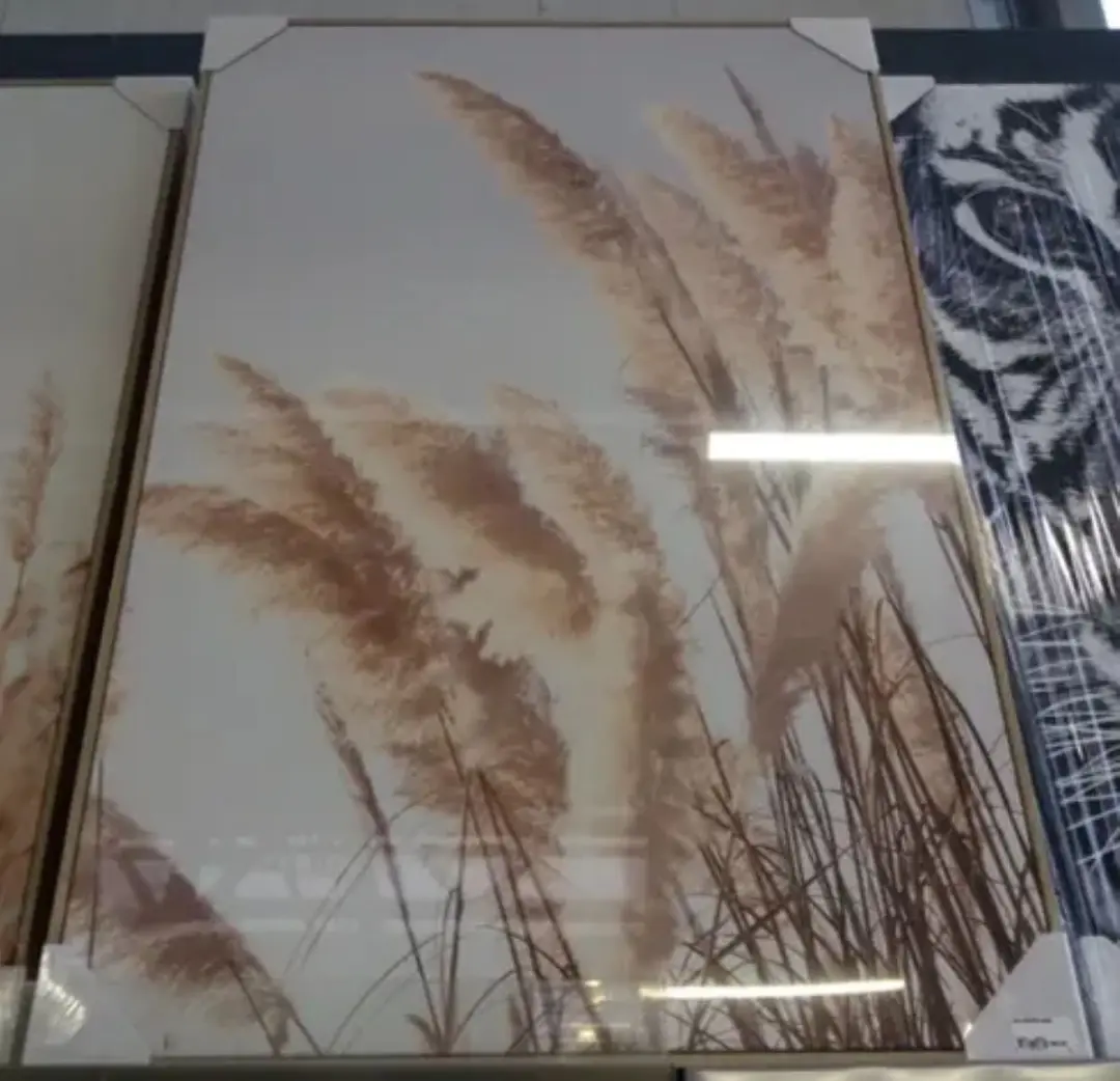 Noach Outdoor Canvas Pampas