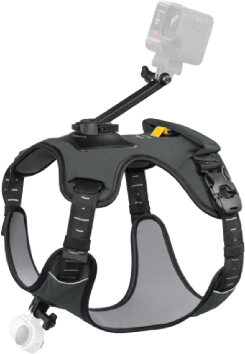 Insta360 Pet Harness Mount Size L CINSBAVZ