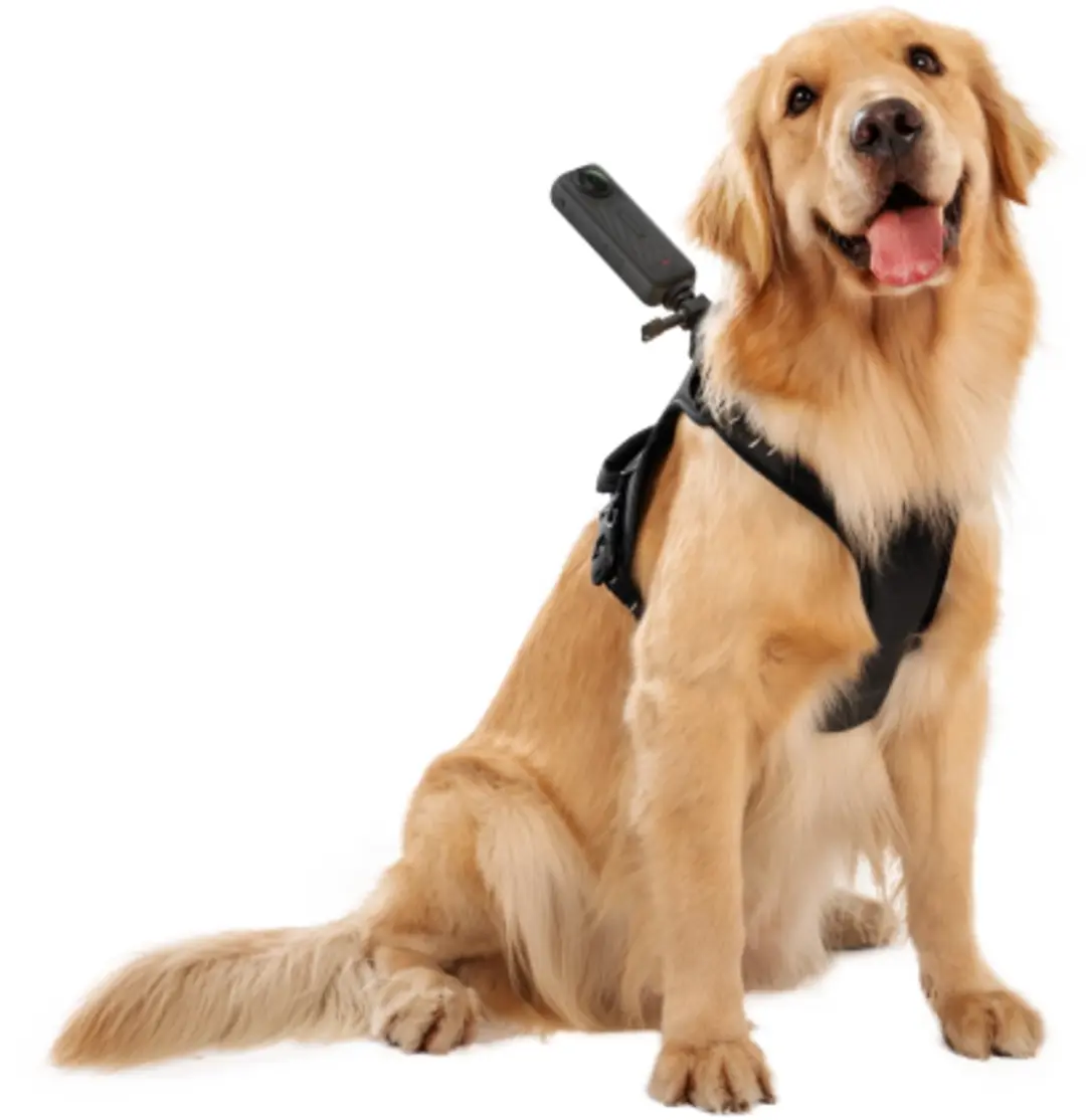 Insta360 Pet Harness Mount Size L CINSBAVZ - Zwart - afbeelding 6 van 6