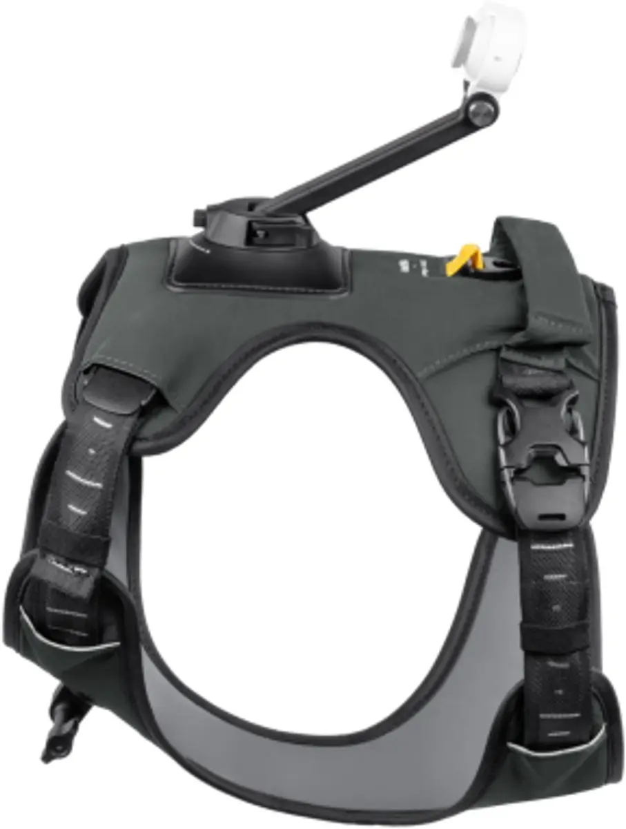 Insta360 Pet Harness Mount Size L CINSBAVZ - Zwart - afbeelding 2 van 6