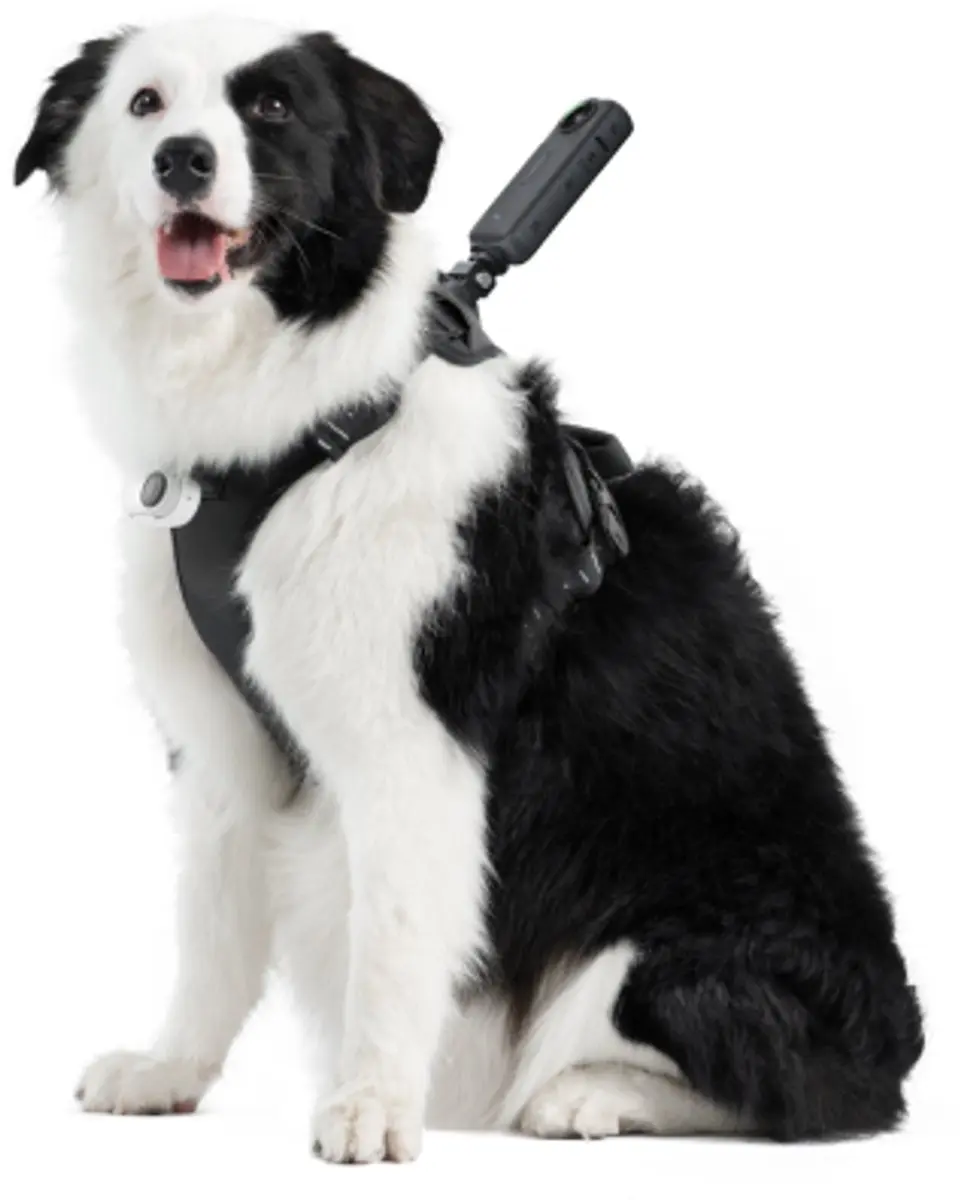 Insta360 Pet Harness Mount Size L CINSBAVZ - Zwart - afbeelding 5 van 6