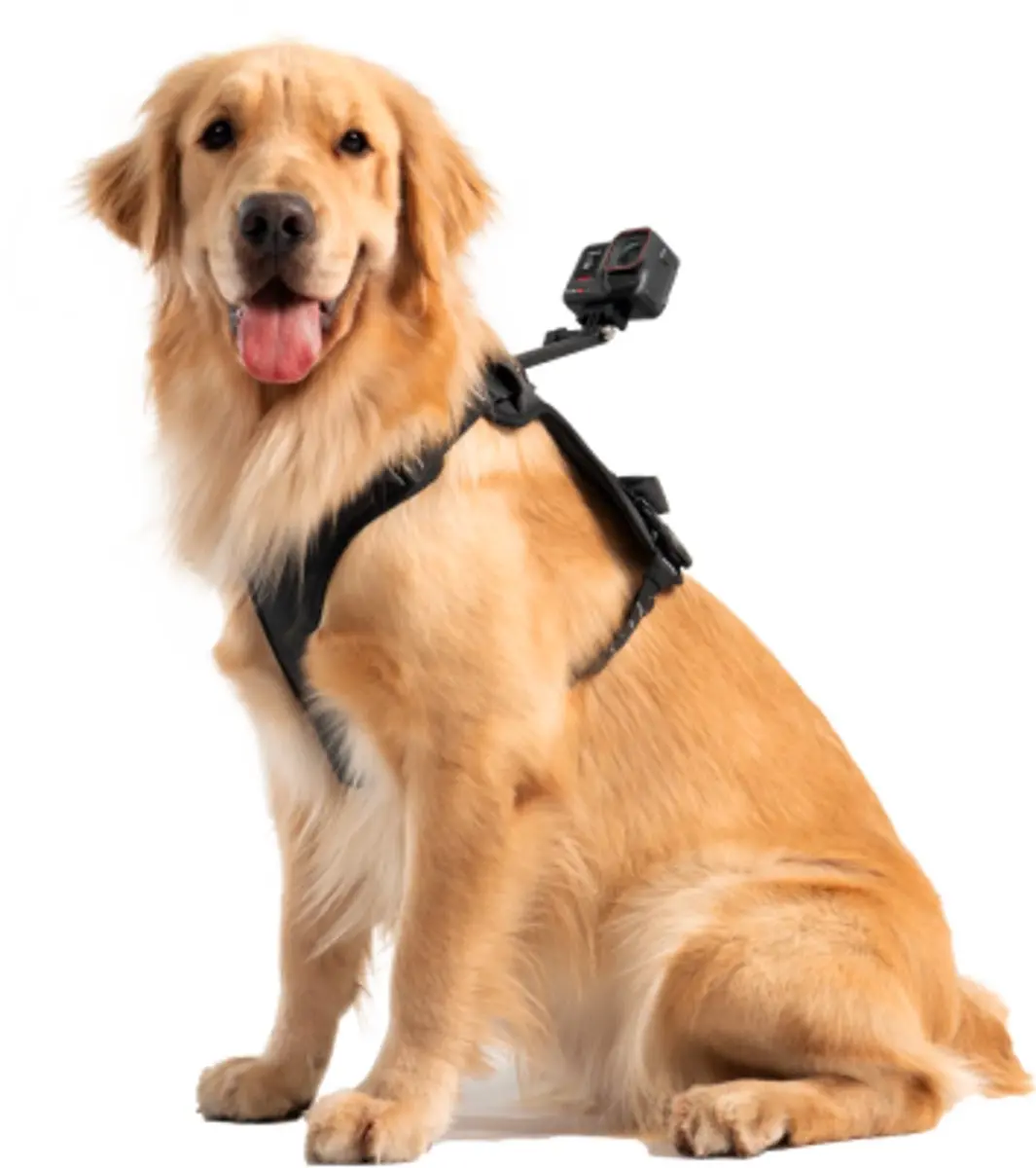 Insta360 Pet Harness Mount Size L CINSBAVZ - Zwart - afbeelding 4 van 6