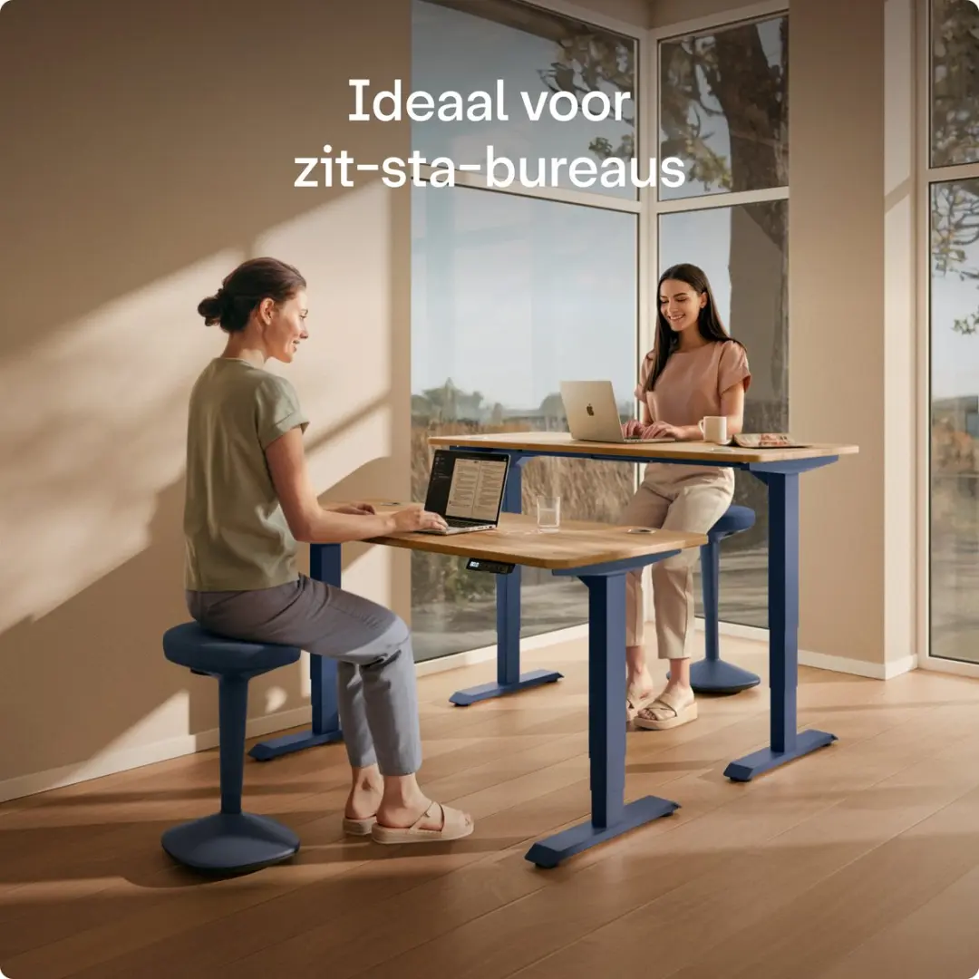 Desktronic Ergonomische Balanskruk - Blauw