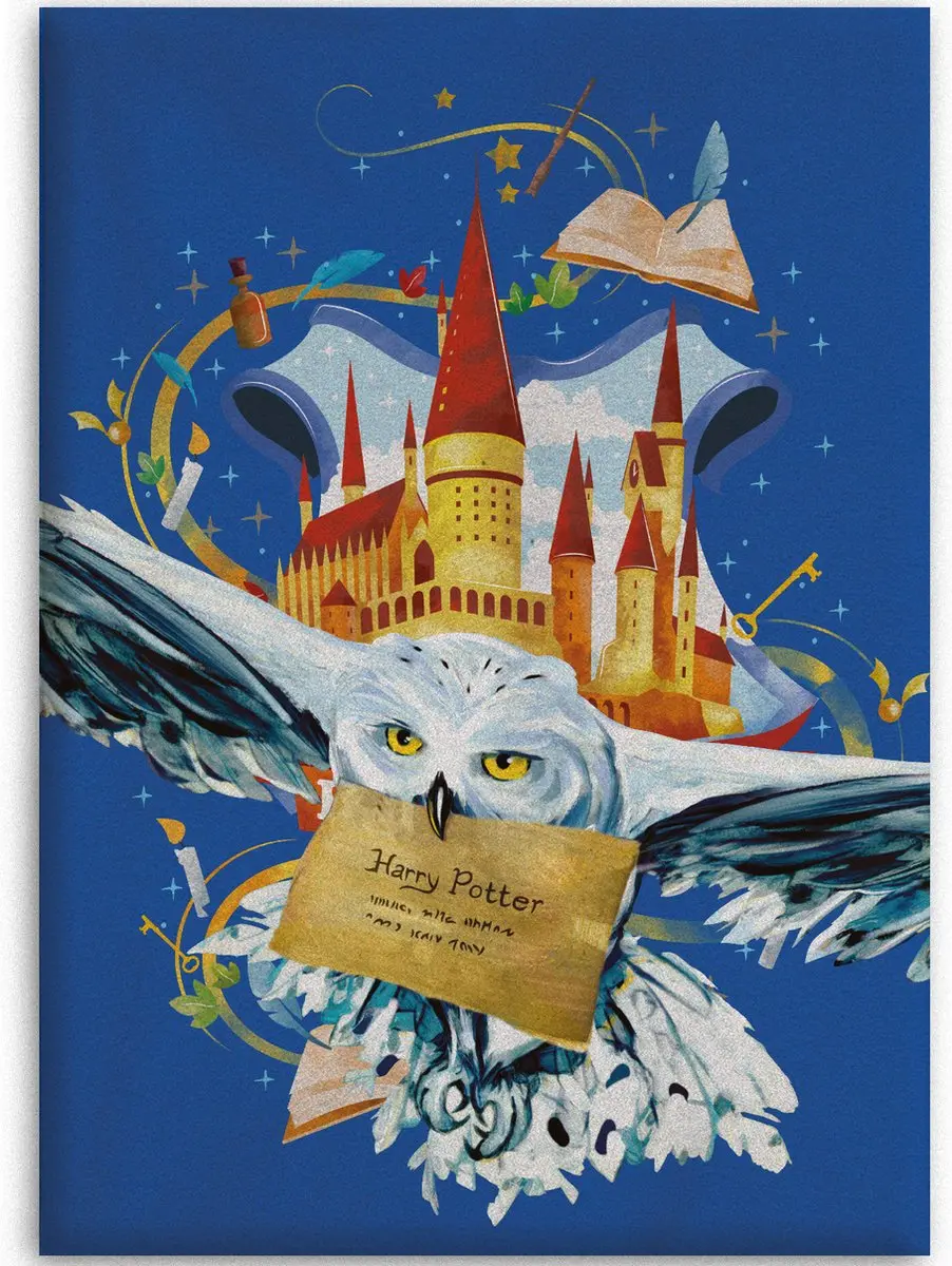 Harry Potter fleecedekens Hedwig 110 x 140 cm