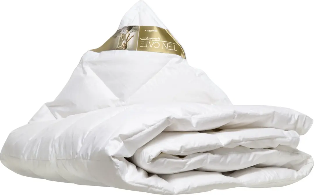 Ten Cate 100% Ganzendonzen Zomerdekbed