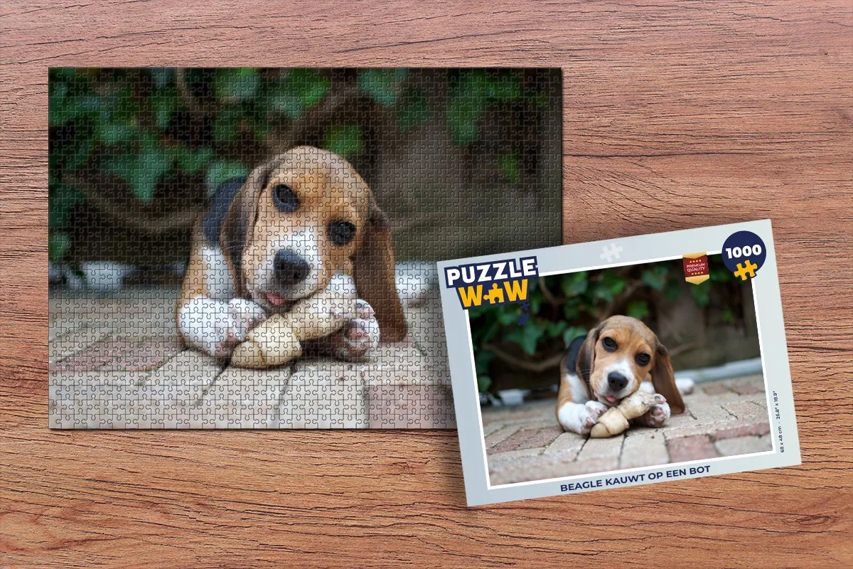 PuzzleWow Legpuzzel Beagle kauwt op een bot 1000 Stuks - Multicolor