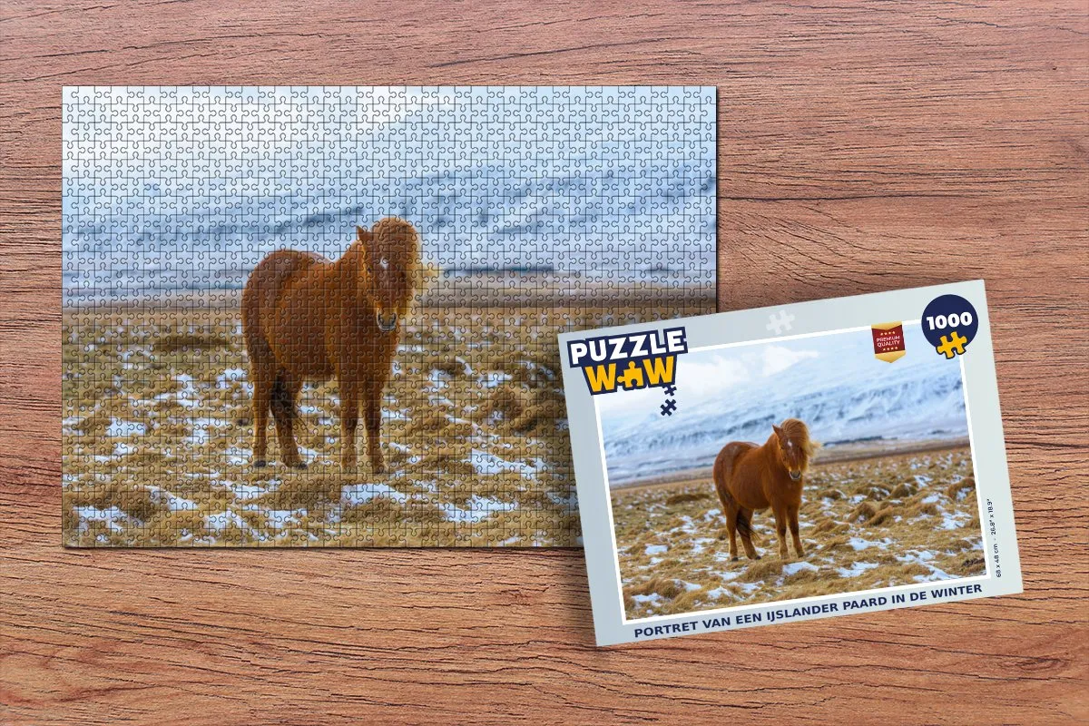 PuzzleWow Legpuzzel Portret van een IJslander paard - 1000 Stuks - Multicolor