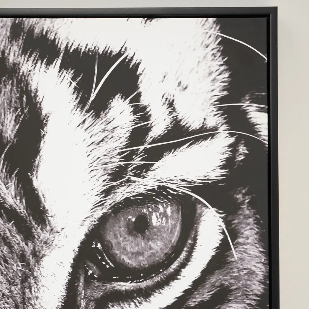 Noach Outdoor Canvas Tiger - Zwart/Wit - afbeelding 2 van 3