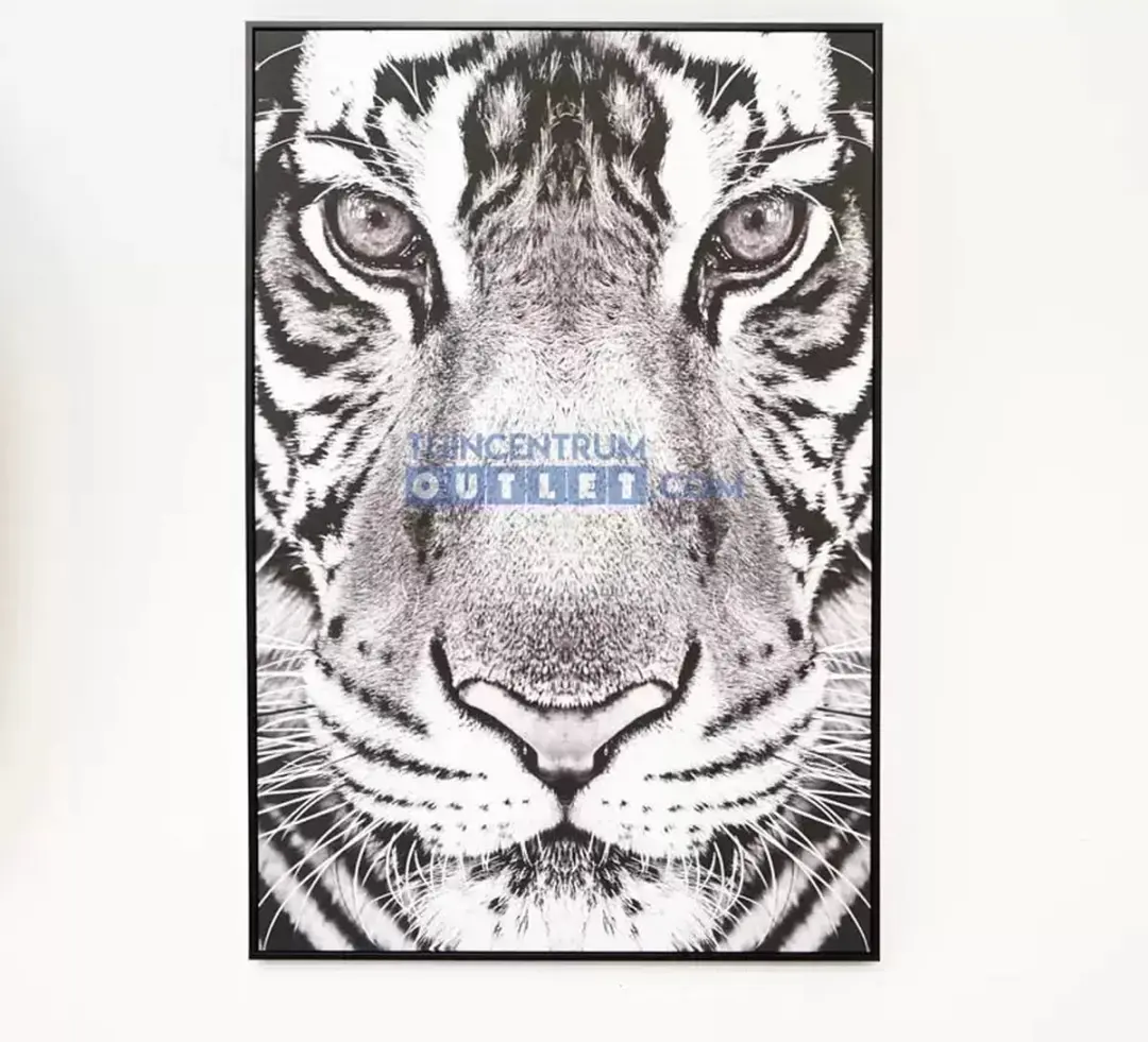 Noach Outdoor Canvas Tiger - Zwart/Wit - afbeelding 3 van 3