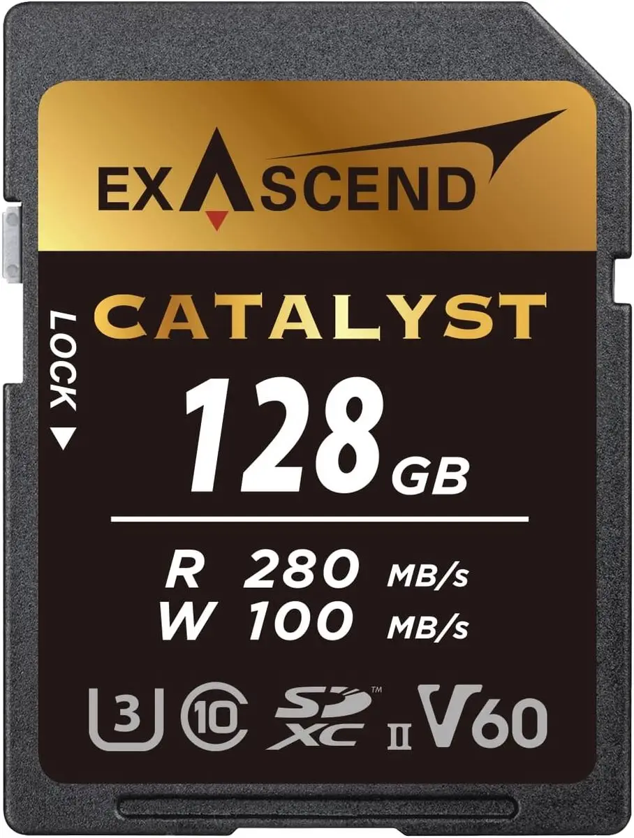 Exascend Catalyst 128 GB SDXC UHS-II Klasse 10