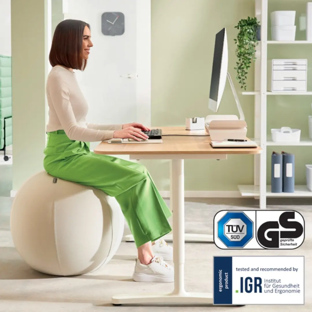 Leitz Ergo Actieve Zitbal 65cm - Anti-rol - Lichtgrijs - afbeelding 6 van 6