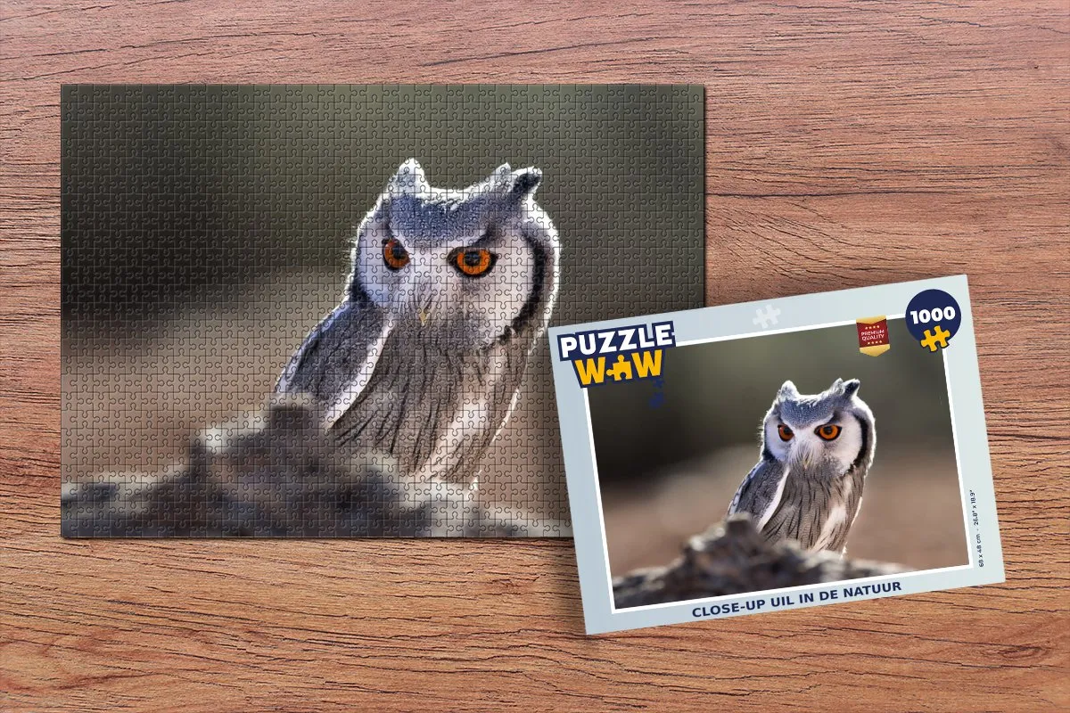 PuzzleWow Uil Macro Legpuzzel 1000 Stuks - Multicolor