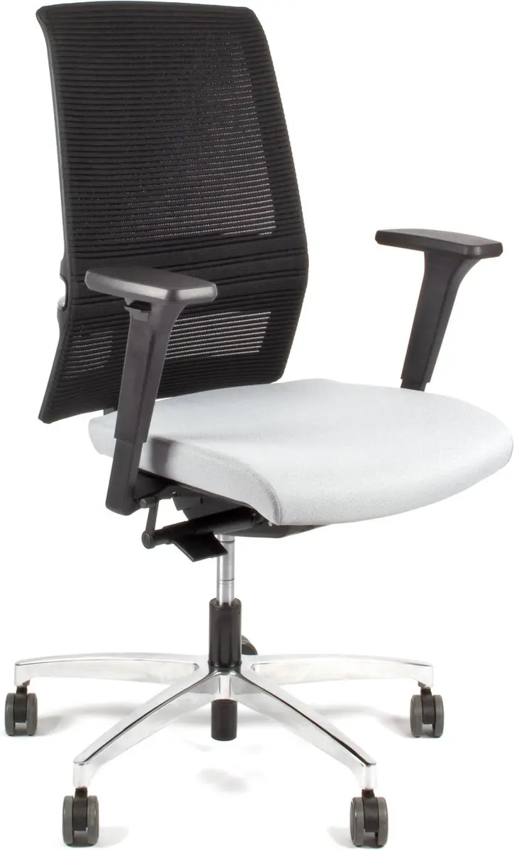 Linea Omnia 01