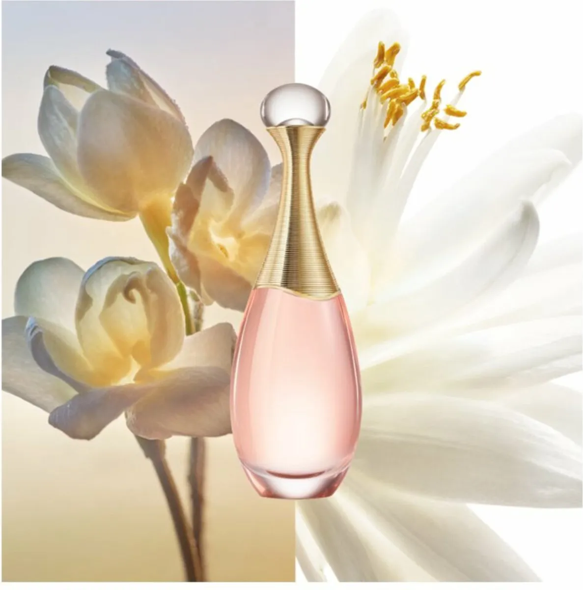 Dior J'adore Eau de Toilette - 100ml