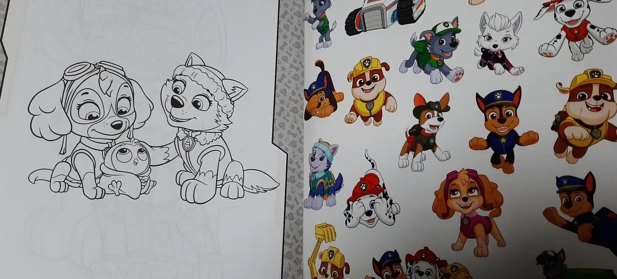 Nickelodeon Paw Patrol Kleurboek - 2x 48 Pagina's - Met Stickers - Blauw
