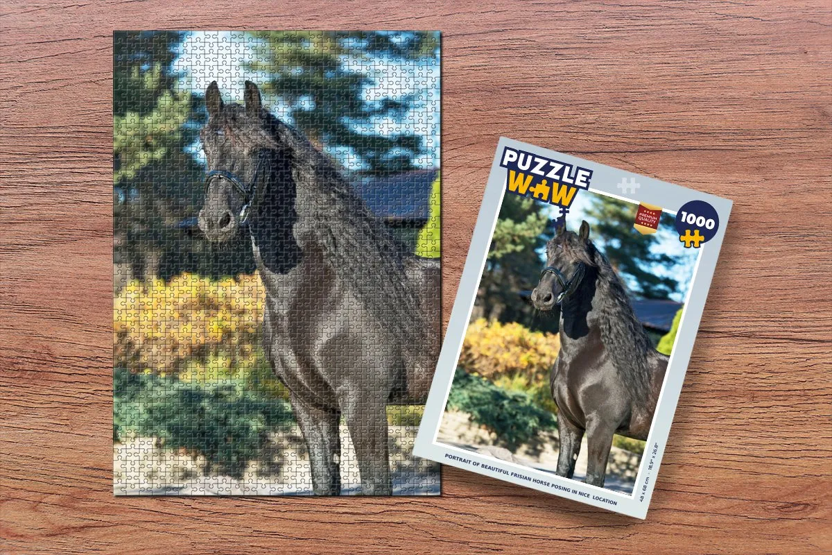 PuzzleWow Legpuzzel Fries Paard 1000 Stuks - Multicolor