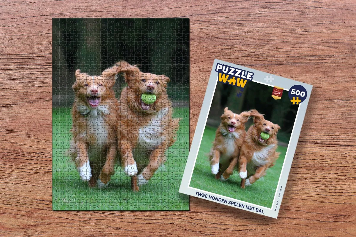 PuzzleWow Legpuzzel Twee honden spelen met bal 500 Stuks - Multicolor