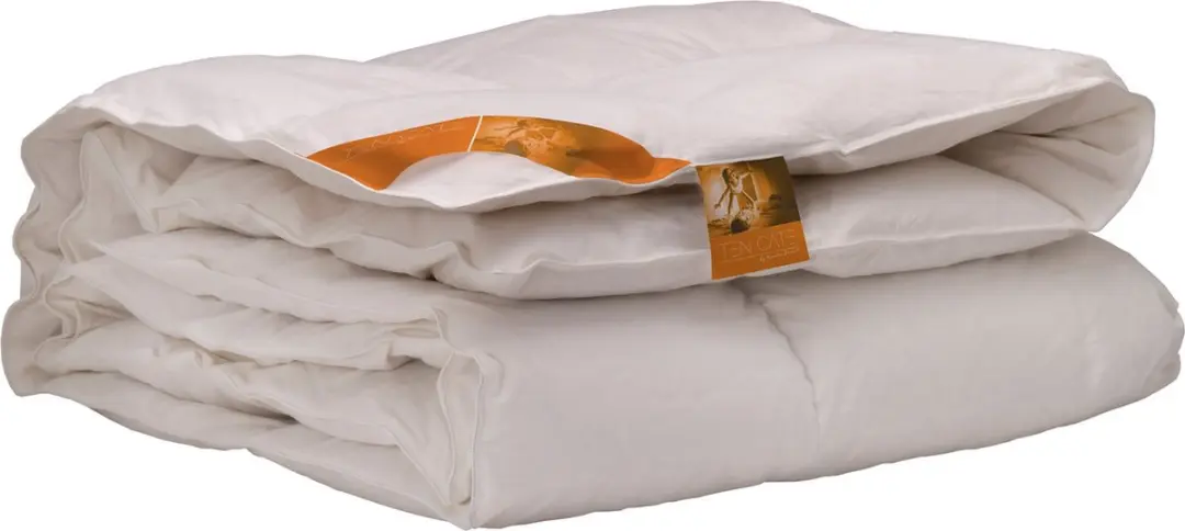 Ten Cate 15/85E All Year Dekbed met dons
