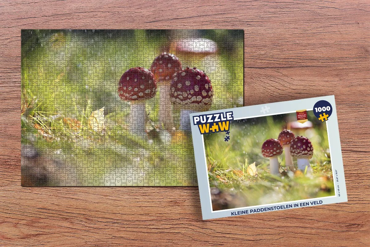 PuzzleWow Kleine Paddenstoelen Legpuzzel 1000 Stuks - Multicolor