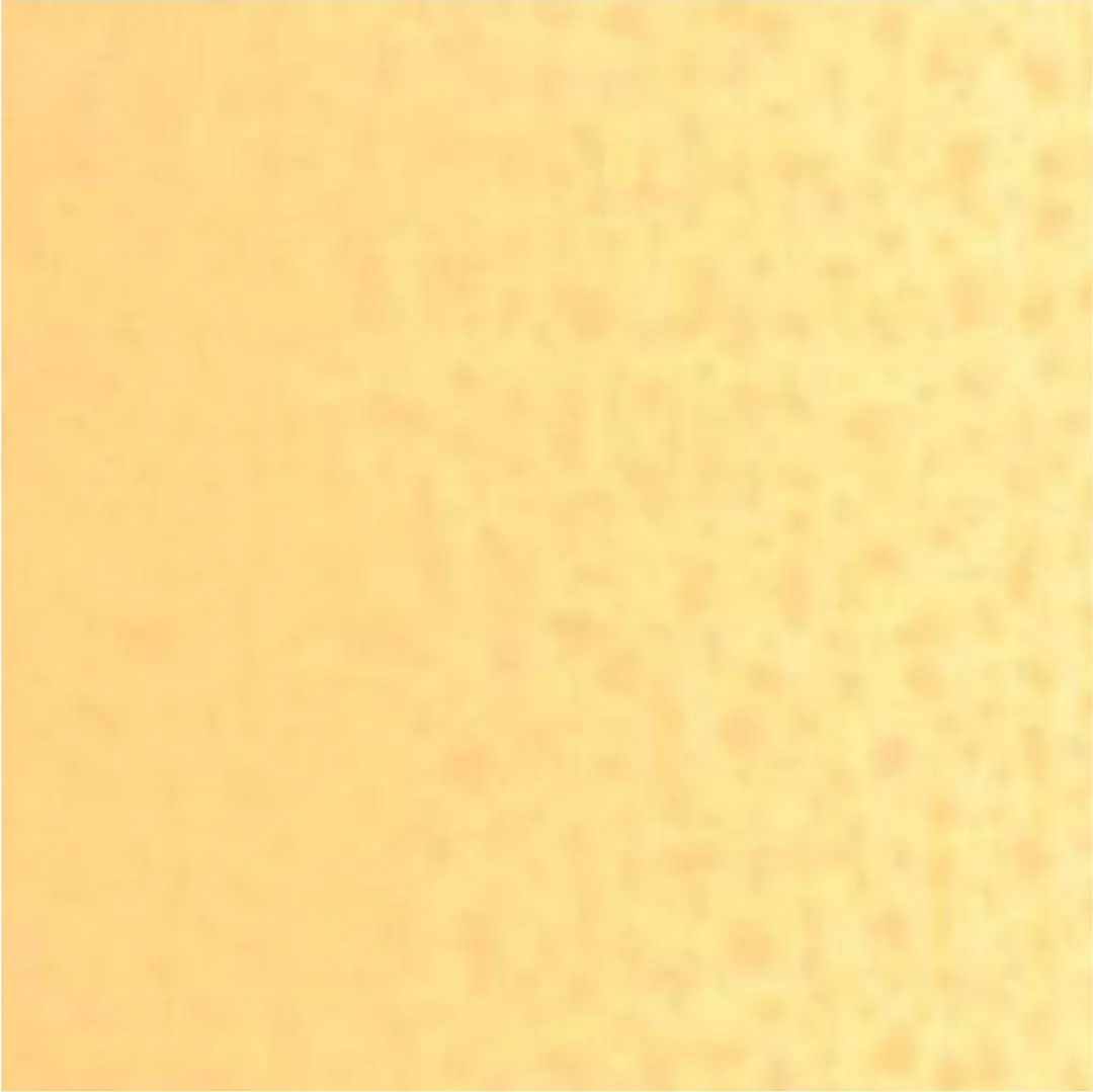 Van Gogh Olieverf Naples Yellow Red 40ml