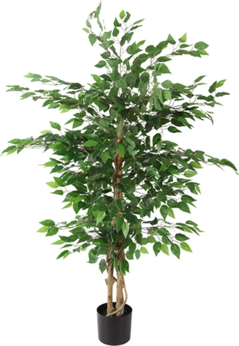 Countryfield Ficus benjamina Kunstplant 110cm