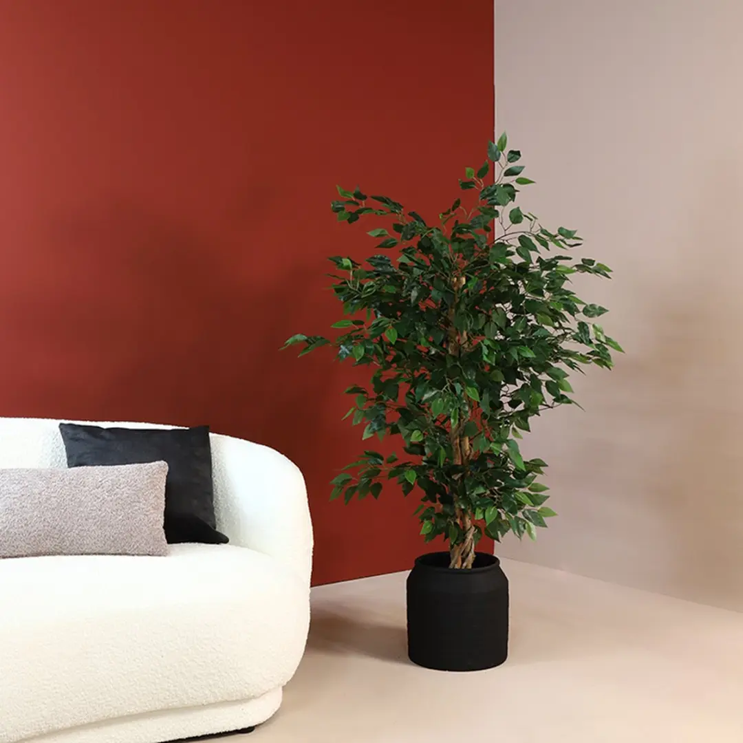 Countryfield Ficus benjamina Kunstplant 110cm - afbeelding 3 van 3