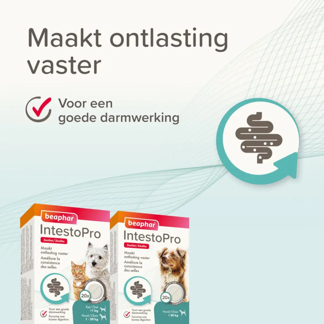 Beaphar IntestoPro Tabletten Hond 20kg+ - 20 Stuks - afbeelding 4 van 6