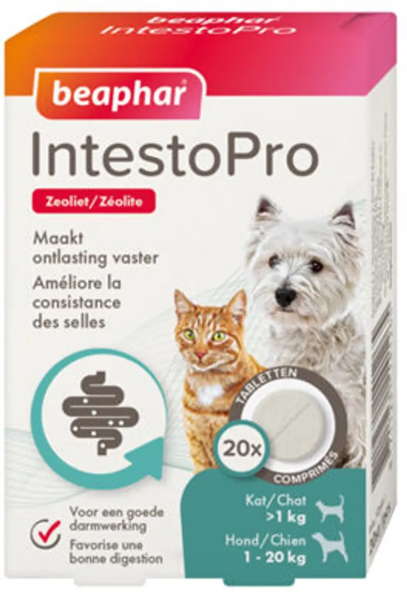 Beaphar IntestoPro Tabletten Hond 20kg+ - 20 Stuks - afbeelding 2 van 6