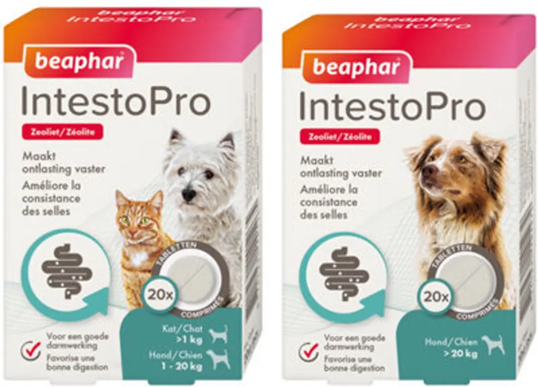 Beaphar IntestoPro Tabletten Hond 20kg+ - 20 Stuks - afbeelding 3 van 6