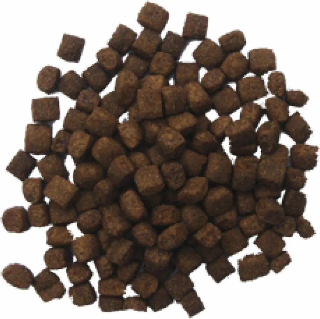 BF Petfood Biofood Lam/Rijst 12.5 KG