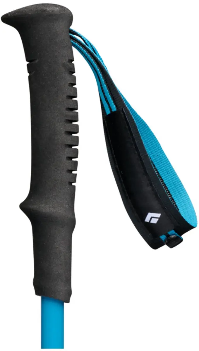 Black Diamond Distance Carbon FLZ Stokken 110cm - Zilver