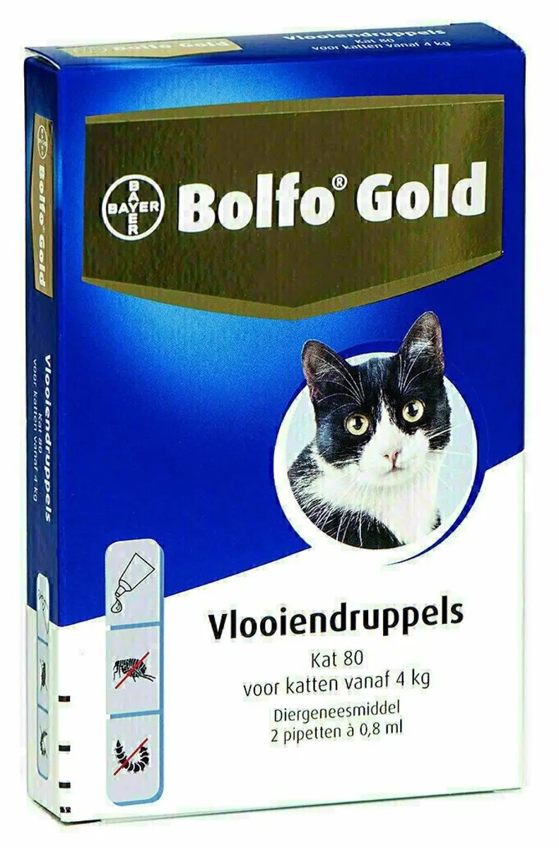 Bolfo Elanco Vlooiendruppels Kat - 64ml (2 Pipetten) - afbeelding 2 van 4